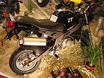 IMG_0516.JPG