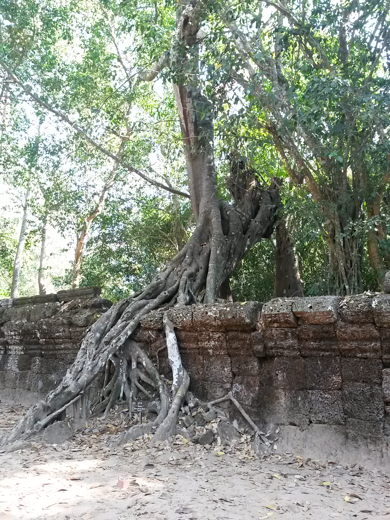 20160109_143247.jpg