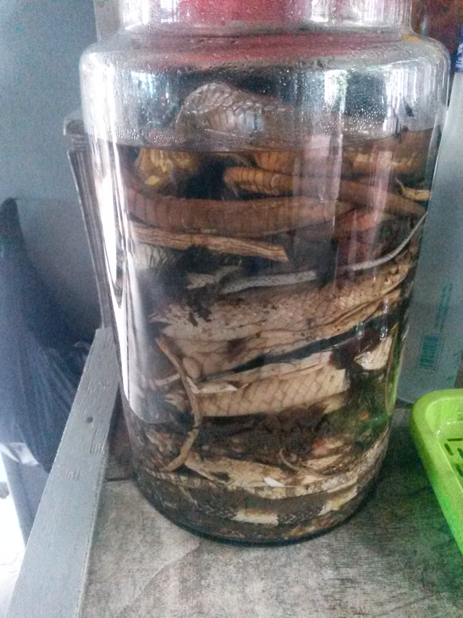 20160112_104031.jpg